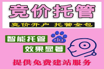 大型企业SEM外包实战案例